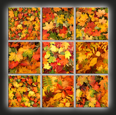 Autumn Leaves