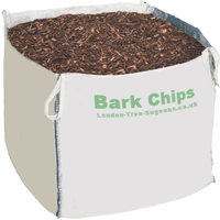 Chip Bark