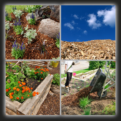 Compost-Mulch